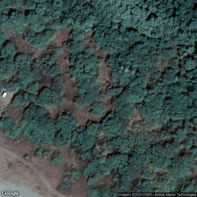 Los Brasiles island
