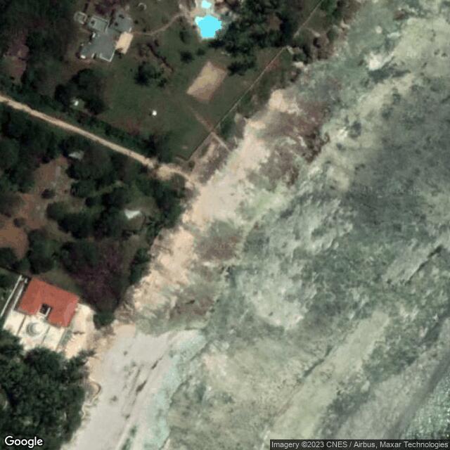 Olive Ridley Project Kenya