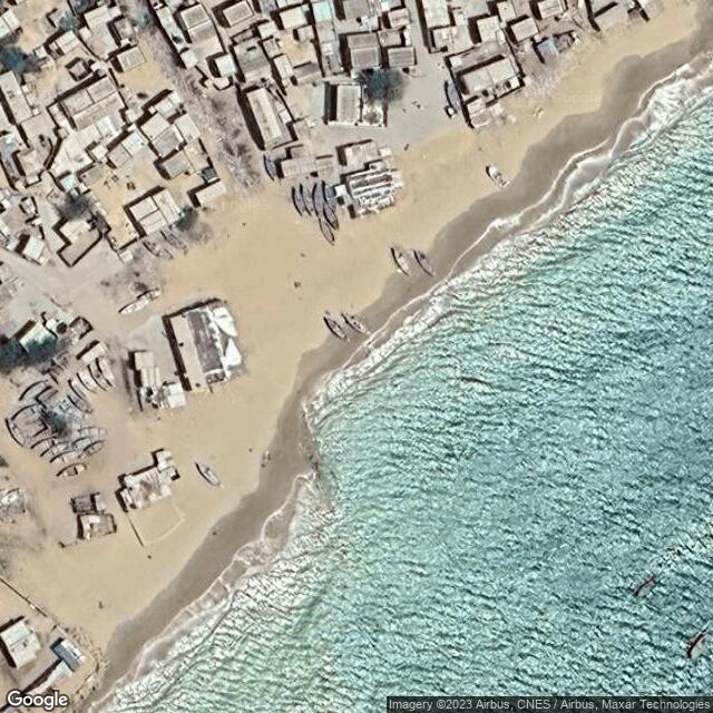 Olive Ridley Project Pakistan