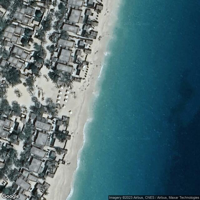 Olive Ridley Project Oman