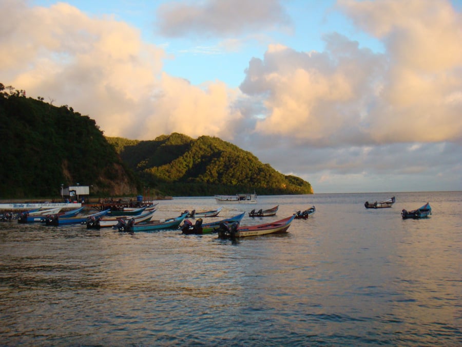 Minec, Provita, UCV & Fudena