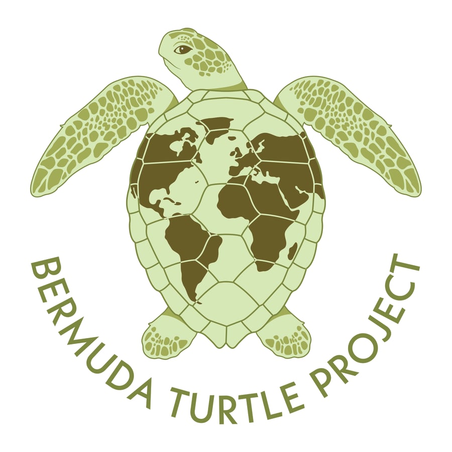 The Bermuda Turtle Project