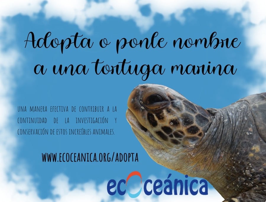 ecOceánica