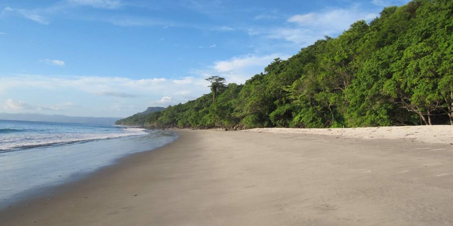 The Leatherback Trust