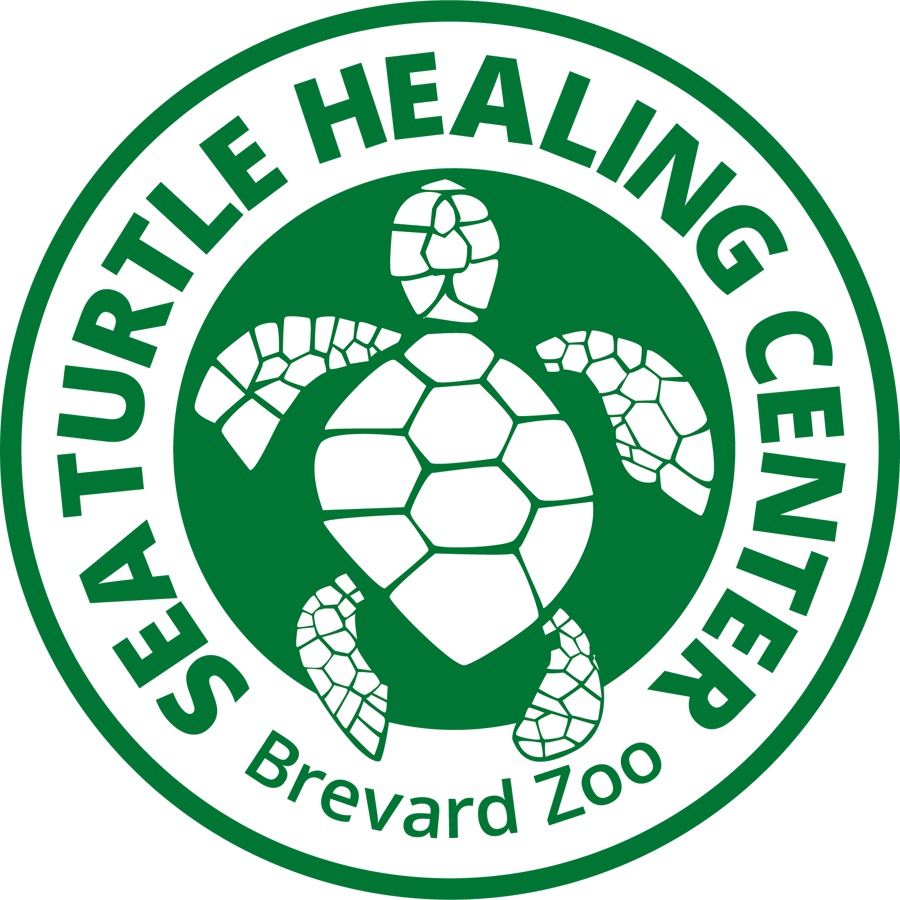 Brevard Zoo's Sea Turtle Healing Center