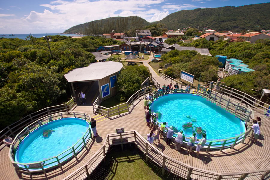 Fundação Projeto Tamar - Florianópolis