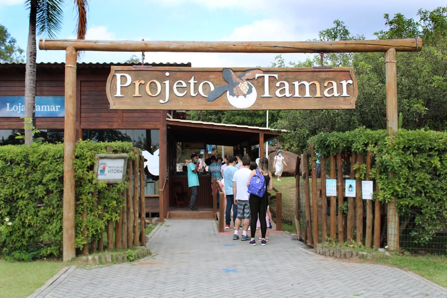 Fundação Projeto Tamar - Vitória