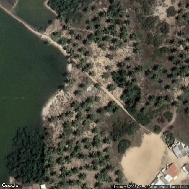 Fundação Projeto Tamar - Ponta dos Mangues