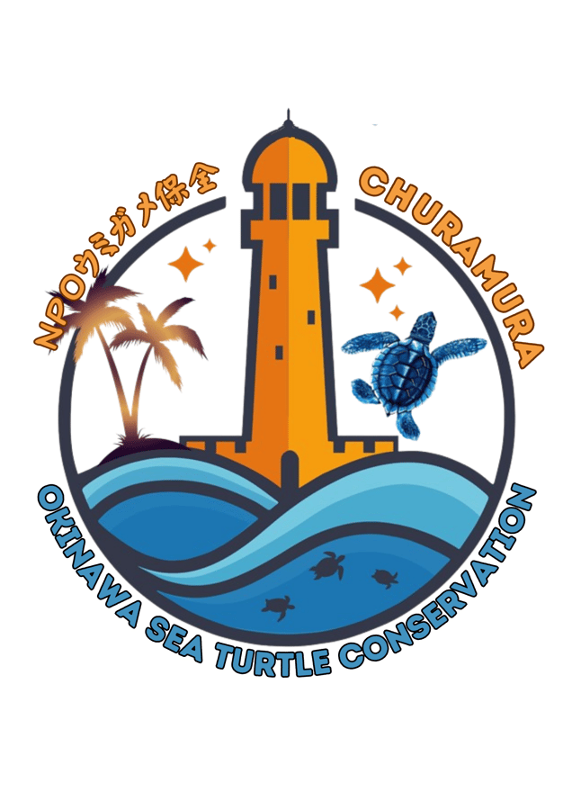 Churamura Sea Turtle Conservation Okinawa
