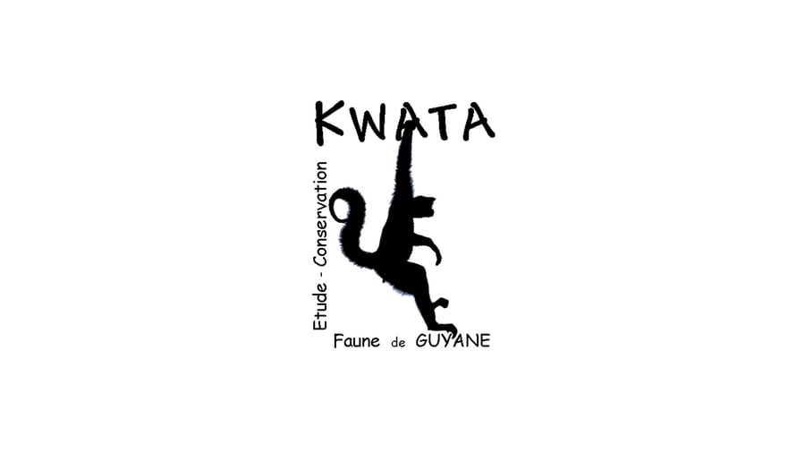 Kwata