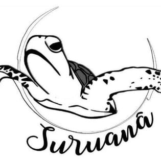 Projeto Suruanã