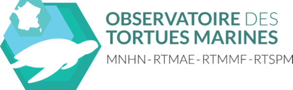 OBSERVATOIRE DES TORTUES MARINES