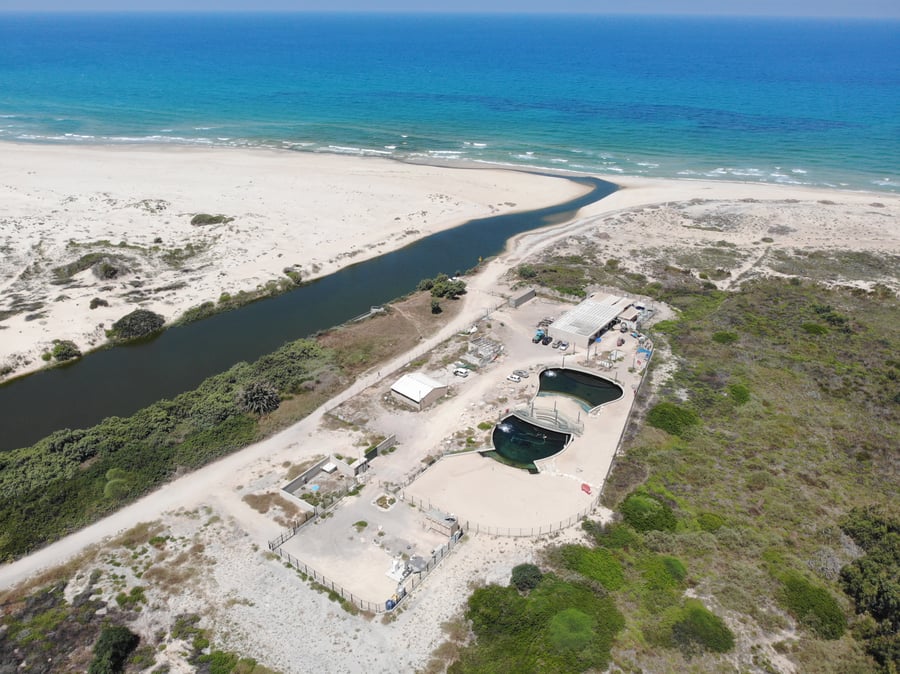 Israel Sea Turtle Rescue Center, National Nature and Parks Authority