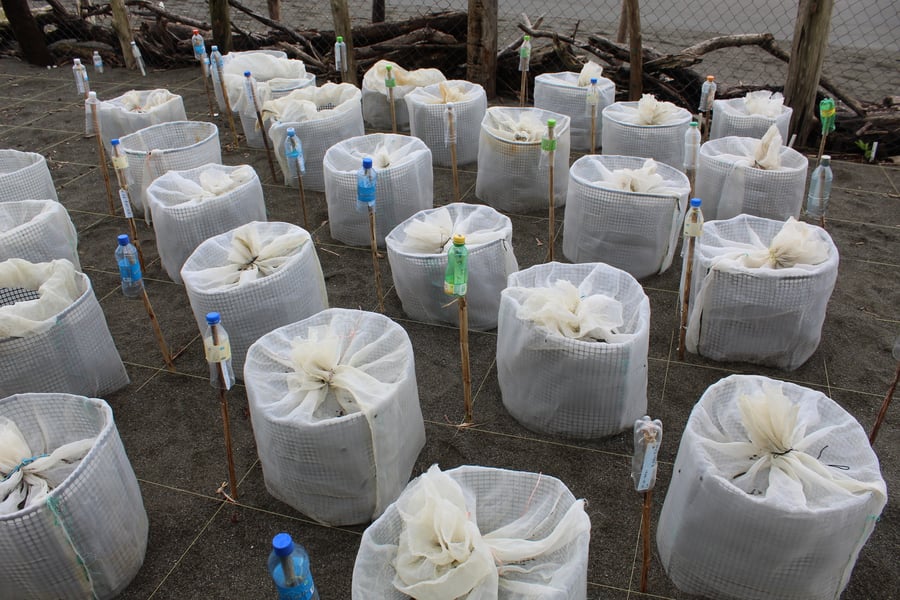 Fundación Agua y Tierra