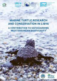 The Libyan Sea Turtle Program