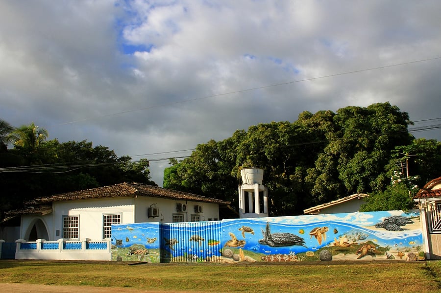 Base Avançada do TAMAR/ICMBio  em Caravelas (BA) 