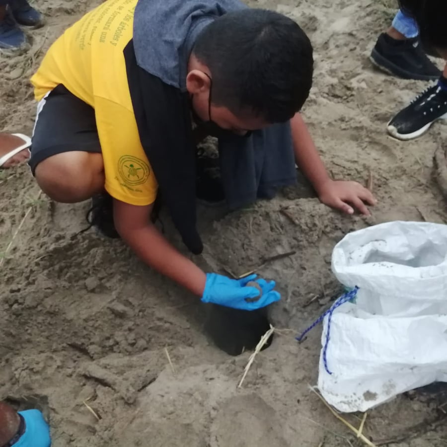 Campamento Tortuguero Ayotlcalli A.C