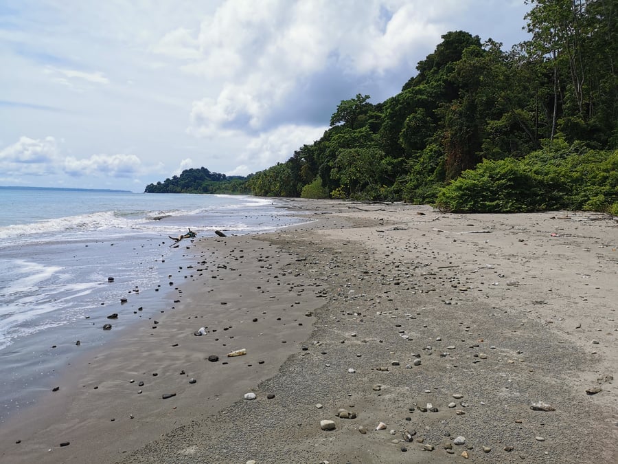 Coiba Scientific Station (COIBA AIP)
