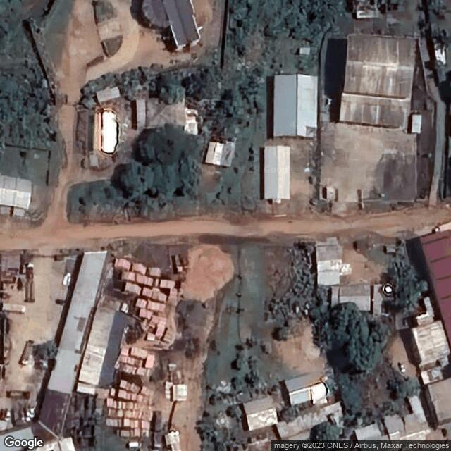 Cameroon Association of Marine Biology (ACBM)