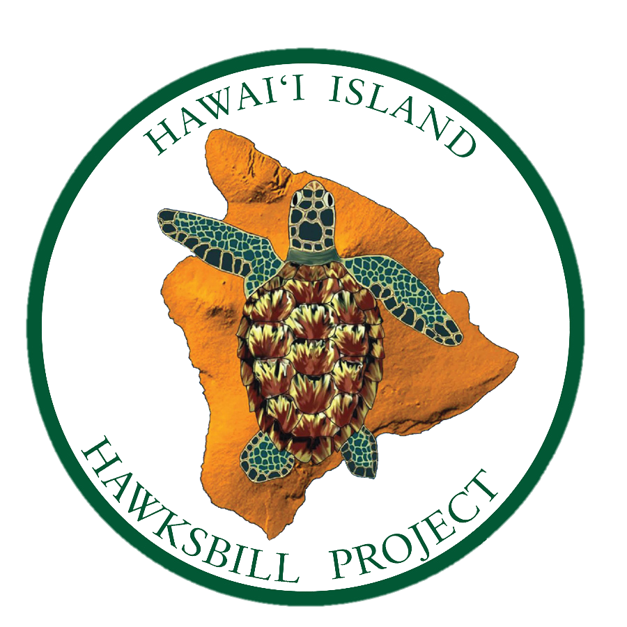 Hawaiʻi Island Hawksbill Project