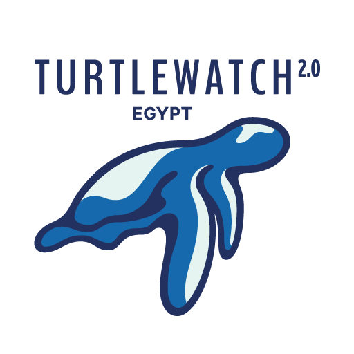 Turtle Watch Egypt 2.0 