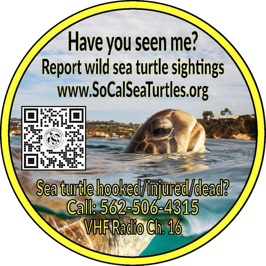SoCal Sea Turtles, Inc.
