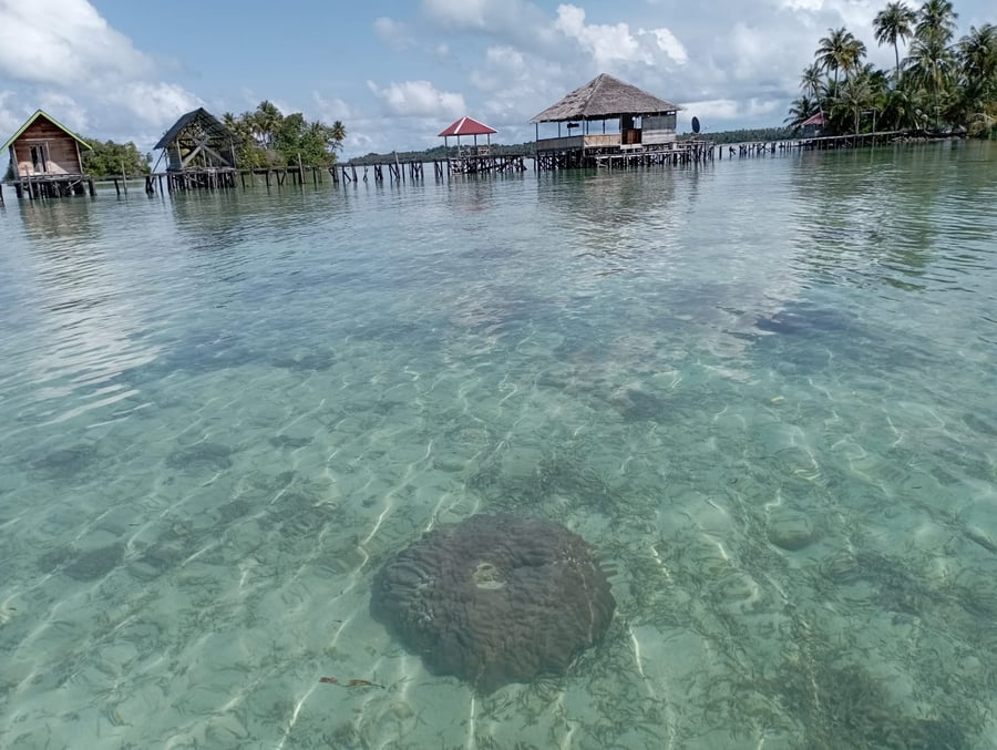 Fifan Archipelago Foundation