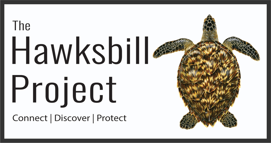 The Hawksbill Project