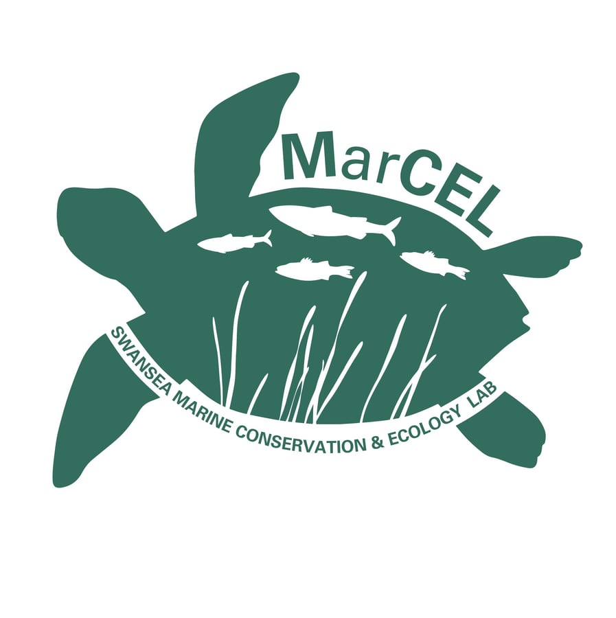 MarCEL