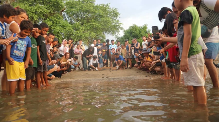Lenuk-Tasi (sea turtle rescue and conservation center)