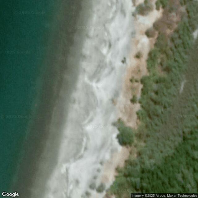 The Leatherback Trust - Cabuyal