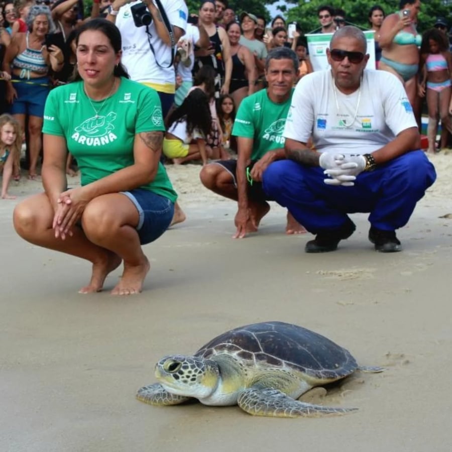 Projeto Aruanã 