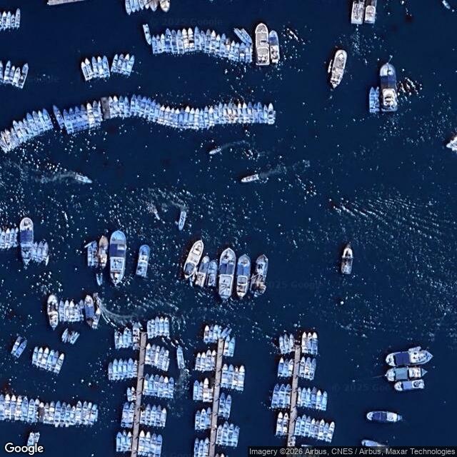 The Leatherback Project