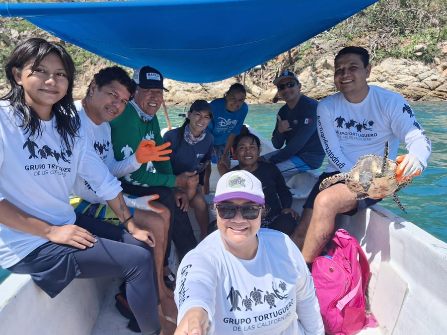 Grupo Tortuguero de Guerrero