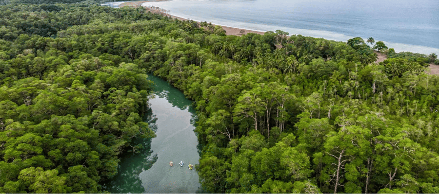 Panama Wildlife Conservation