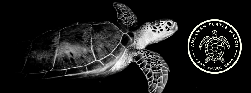 Andaman Turtle Watch