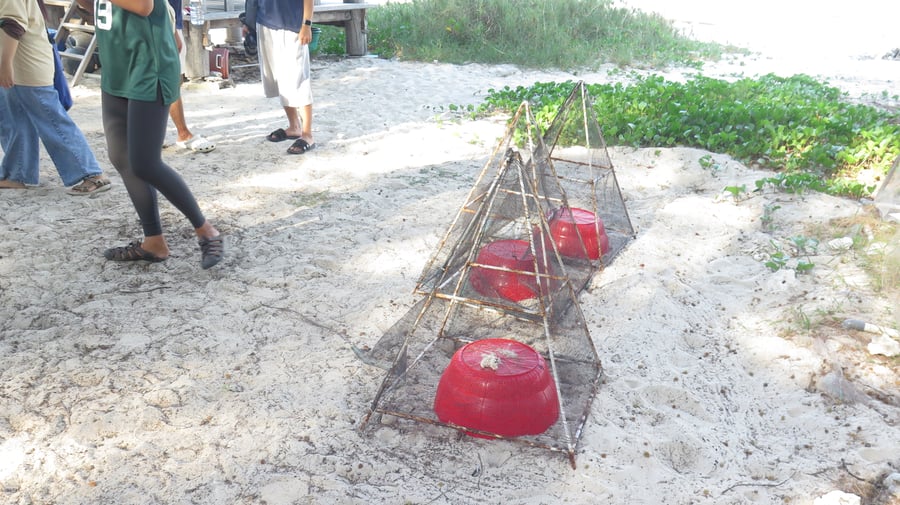 Marine Conservation Indonesia