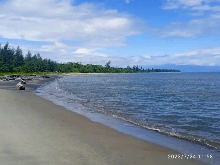 Xero Global Accounting Services (Conservation Program – PNG)