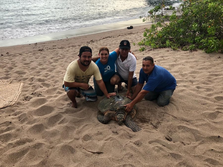 Uella Environmental Research & Consulting