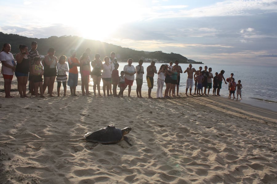 Uella Environmental Research & Consulting