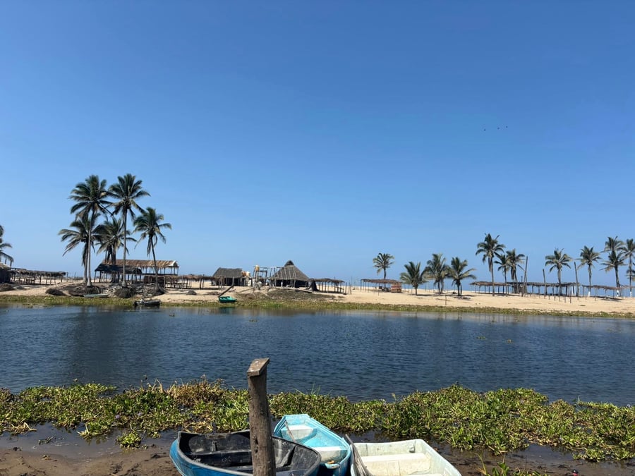 Majahuas Sea Turtle Conservation Project (Campamento tortuguero)