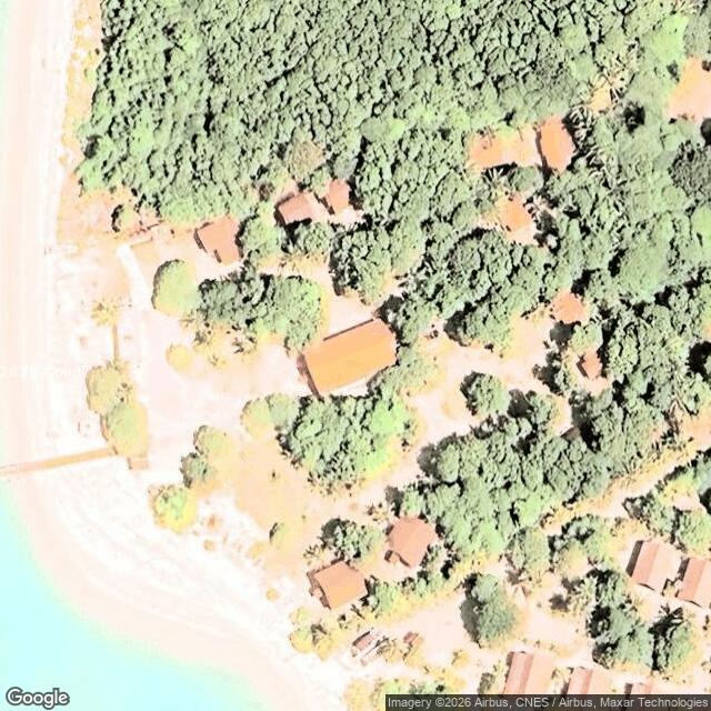 Tropical Research And Conservation