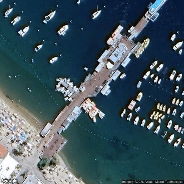 Channel Islands Sea Turtle Observer Network