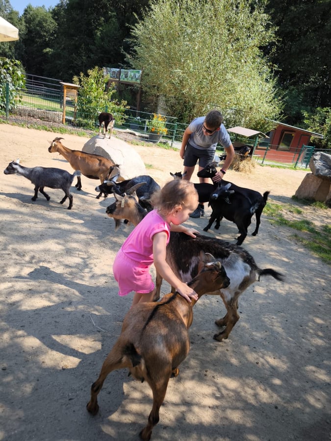Zoo Dvorec