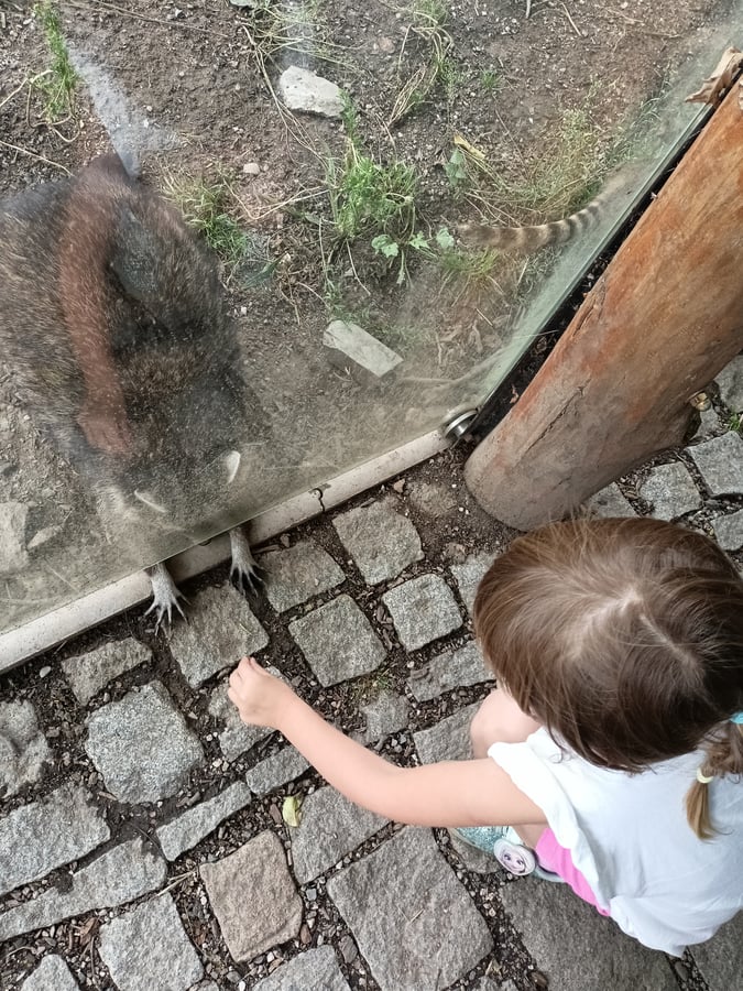 Zoo Plasy