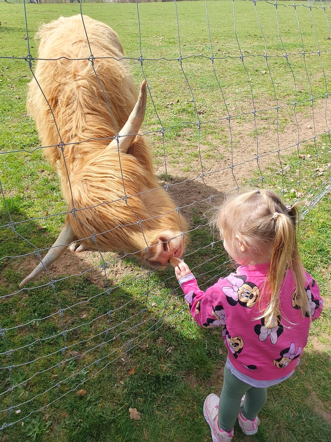 Zoopark jeleni Homole