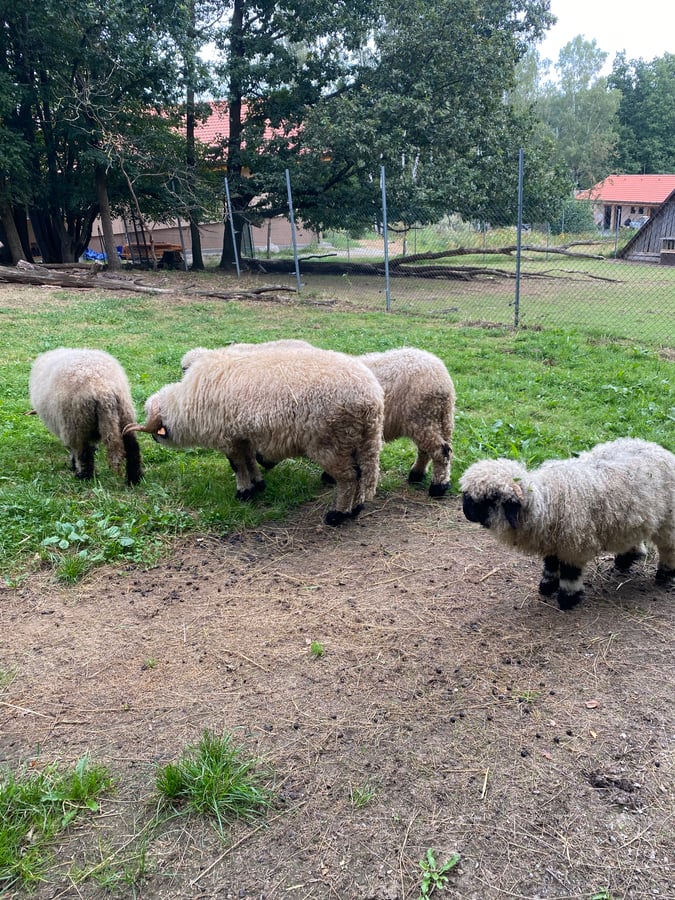 Zoopark Na Hrádečku