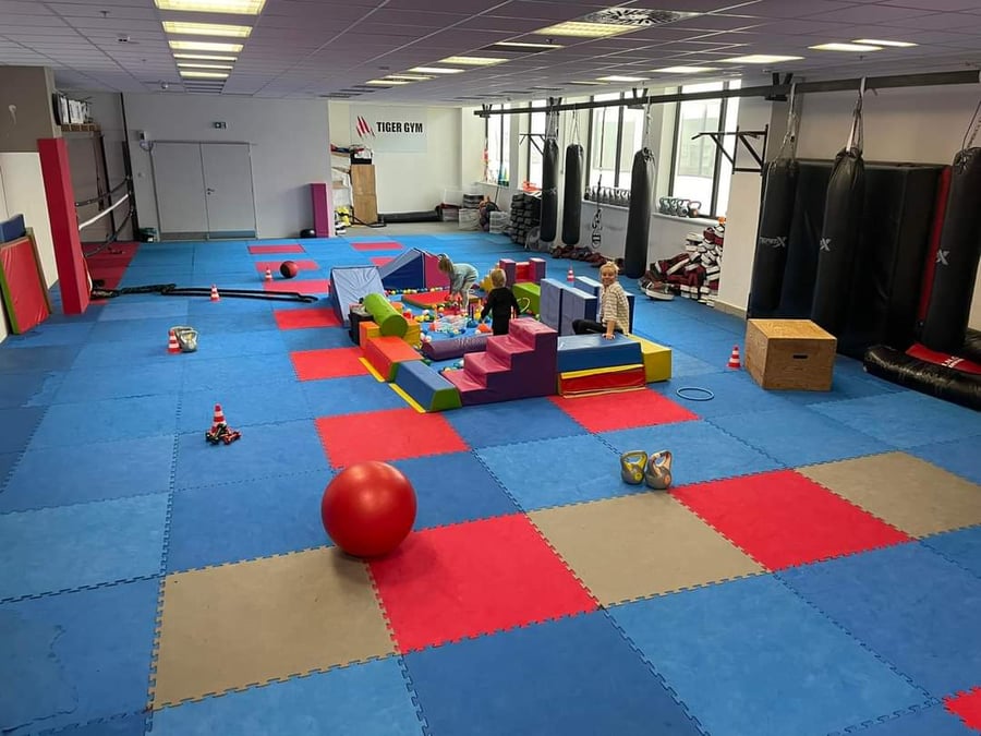Tělocvična Tiger Gym