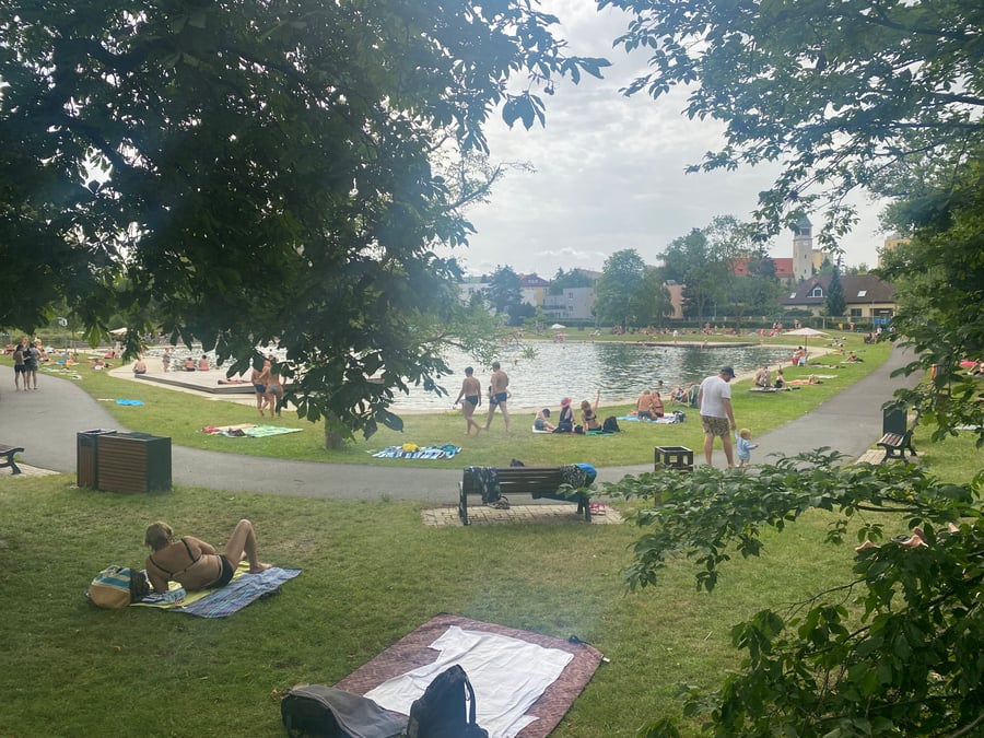 Koupaliště Lhotka (biotop)