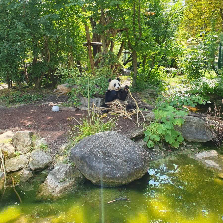 Zoo Schönbrunn